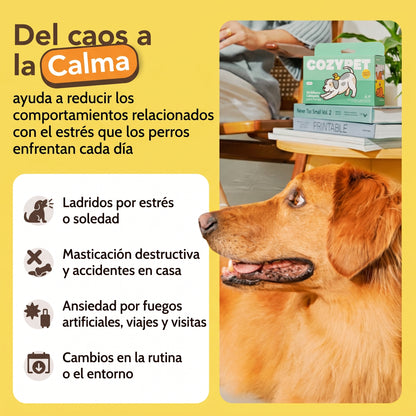 Kit Difusores Calmantes para Perro